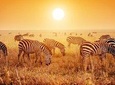 4 Days Mid-range Safari in Serengeti, Ngorongoro and Tarangire