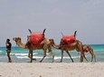 From Djerba: 1 day in the footsteps of Star Wars "Mos Eisley"