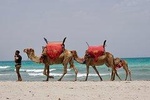 From Djerba: 1 day in the footsteps of Star Wars "Mos Eisley"