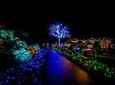 Butchart Gardens and City Tour in Spring