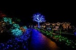 Butchart Gardens and City Tour in Spring