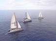 Whale Watching Catamaran to Los Gigantes & Masca