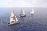 Whale Watching Catamaran to Los Gigantes & Masca