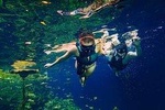 Tour Xenotes Departure from Cancún