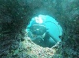 Diving excursion in Quintay