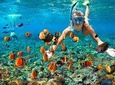Phi Phi Half Day Tour Speed Boat Tour