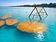 Discover the Beauty of Bacalar , Suhuyha and The Cenote Azul