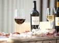 Wine tasting in the cellar