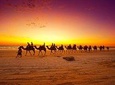 Sunset Camel Ride In Agadir 