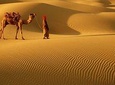 Abu Dhabi desert Safari with BBQ Dinner , Camel Ride , Bally Dance 
