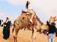 3 Day's Cairo - Alexandria (SPECIAL PACKAGE)