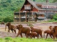 Private 5 Days Samburu National Reserve, Aberdares & Lake Nakuru Wildlife Safari