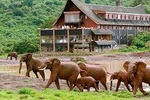 Private 5 Days Samburu National Reserve, Aberdares & Lake Nakuru Wildlife Safari