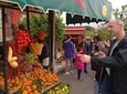 Group excursion for wine tasting to the Cantine del Vesuvio. (4 hours)