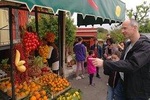 Group excursion for wine tasting to the Cantine del Vesuvio. (4 hours)
