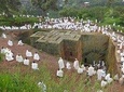 Rock Churches of Lalibela Guided Tour