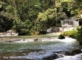 South Coast Jamaica YS Falls Tour