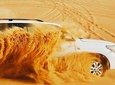 Evening Desert Safari with Quad Bike Experience, BBQ Dinner & Live Shows