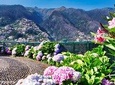 Madeira; Sightseeing in a Snippet. 