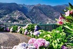Madeira; Sightseeing in a Snippet. 