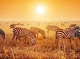 8 Days / 7 Nights Tanzania-Zanzibar Holiday Package