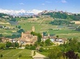 Barolo and Barbaresco wine tour 
