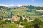 Barolo and Barbaresco wine tour 