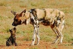 4 Days Touch of Wilderness – Mid-Range
