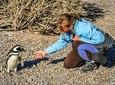 PUERTO MADRYN: Punta Tombo with walk in the penguin colony