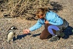 PUERTO MADRYN: Punta Tombo with walk in the penguin colony