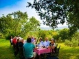 Lunch among the olive trees