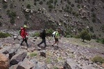 Half day Hiking between palm trees and valley in agadir 