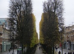 Stroll Laisvės alėja, Kaunas, Lithuania