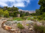 Visit Santa Barbara Botanic Garden, Santa Barbara, California