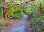 Hike Coastal Prairie Trail, Everglades National Park, Florida