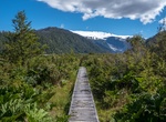 Explore Michinmahuida, Pumalín National Park, Chile