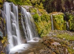 Hike Curtis Falls Track, Egmont National Park, New Zealand