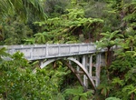 Walk across Bridge to Nowhere, Whanganui National Park, New Zealand