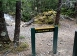 Camp at Sylvan Campsite, Mount Aspiring National Park, New Zealand