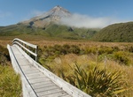 See Ahukawakawa Swamp, Egmont National Park, New Zealand