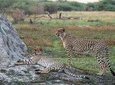 6 Days/ 5 Nights Etosha and Sossusvlei Experience - Self-drive 
