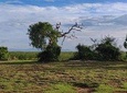 Bundala National Park Private Safari
