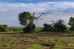 Bundala National Park Private Safari
