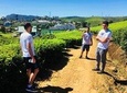 Nuwara Eliya/ Waterfall/ Tea Factory/ Food Taste - ASY Tours