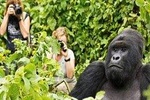 6 Days Uganda Gorilla Trekking & Hiking to Dian Fossey Tomb in Rwanda.