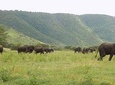 6 Days Tanzania Wildlife Safari Tour