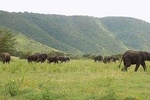 6 Days Tanzania Wildlife Safari Tour