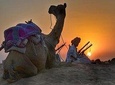 Complete Rajasthan With Golden Temple Tour & Taj Mahal 