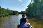 Live like a fisherman on the Mangroves Rout