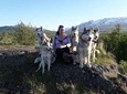 Hiking with Husky in Akureyri
